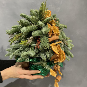 Елочка из нобилиса