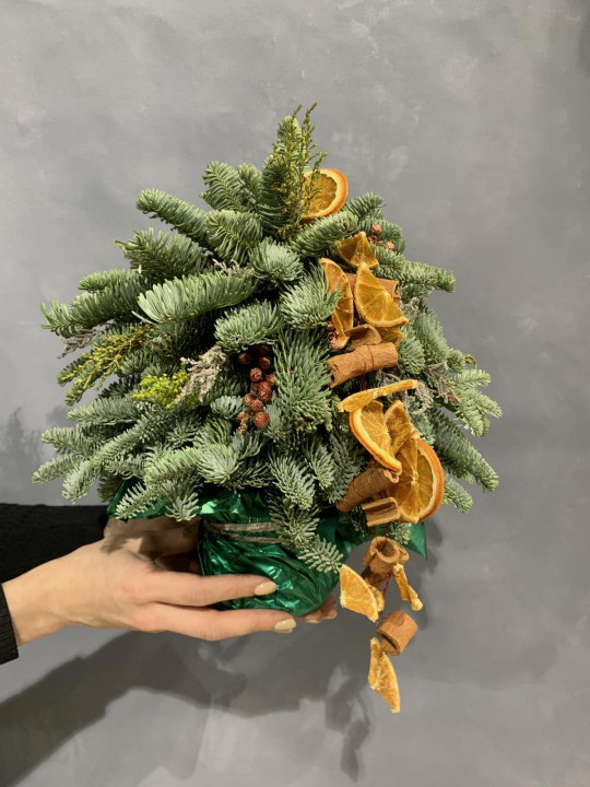 Елочка из нобилиса